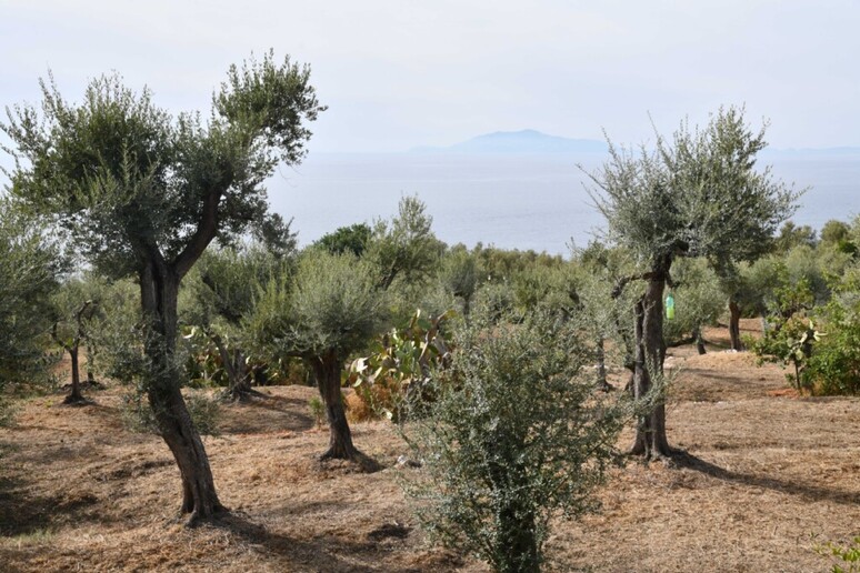 - RIPRODUZIONE RISERVATA