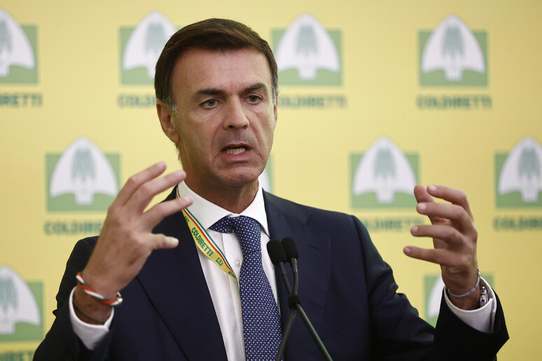 - RIPRODUZIONE RISERVATA