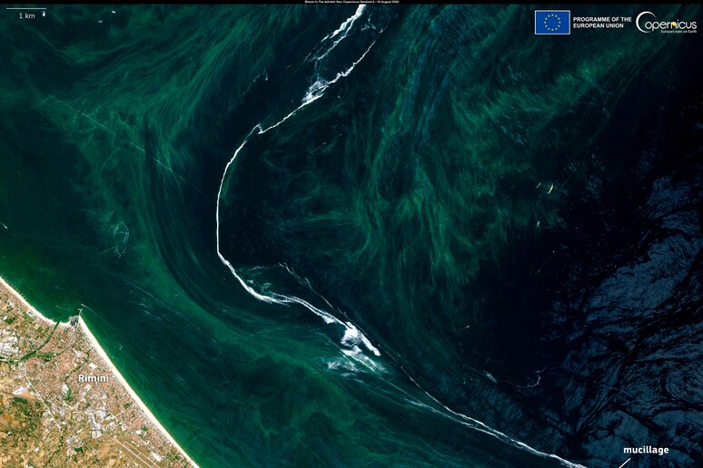 La scia biancastra indica la mucillagine nel mare Afriatico vista dai satelliti (fonte: European Union, Copernicus Sentinel-2 imagery) - RIPRODUZIONE RISERVATA