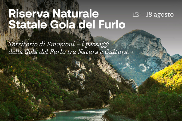 - RIPRODUZIONE RISERVATA