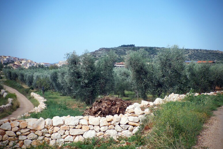- RIPRODUZIONE RISERVATA