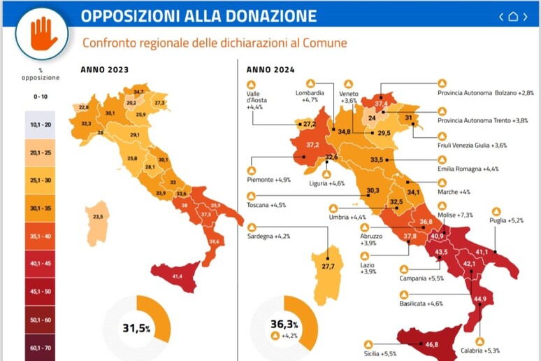 - RIPRODUZIONE RISERVATA