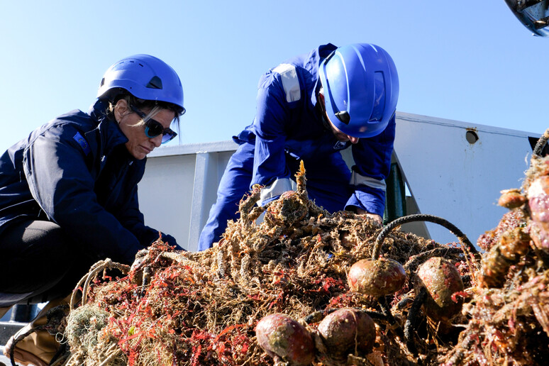 - RIPRODUZIONE RISERVATA