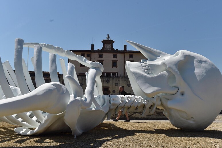 Exhibition in Florence  'Ytalia. Energia, Pensiero, Bellezza. Tutto è connesso ' - RIPRODUZIONE RISERVATA