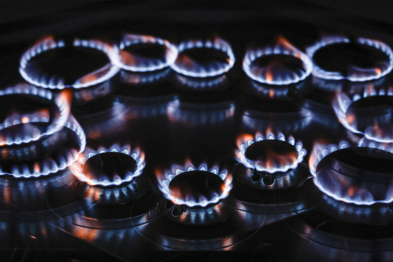 Eurocamera al voto per più flessibilità sugli stock di gas - RIPRODUZIONE RISERVATA