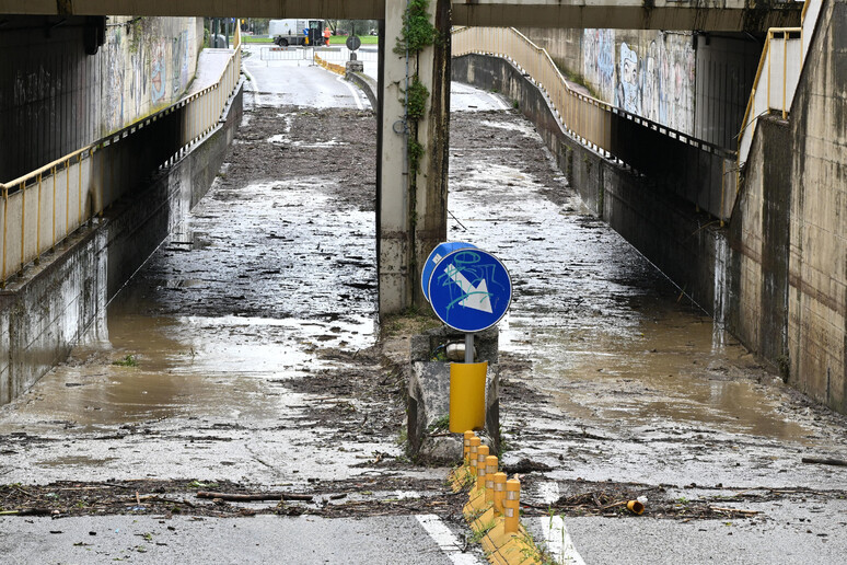 - RIPRODUZIONE RISERVATA