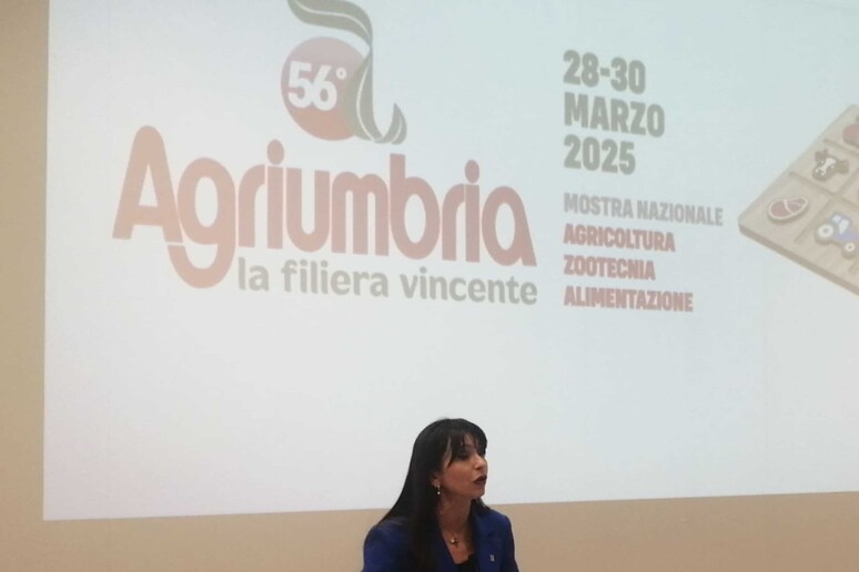 - RIPRODUZIONE RISERVATA