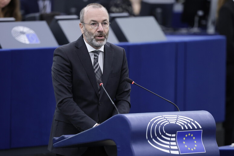 Weber: "L 'Ue elimini il divieto per motori termici al 2035" © ANSA/EPA