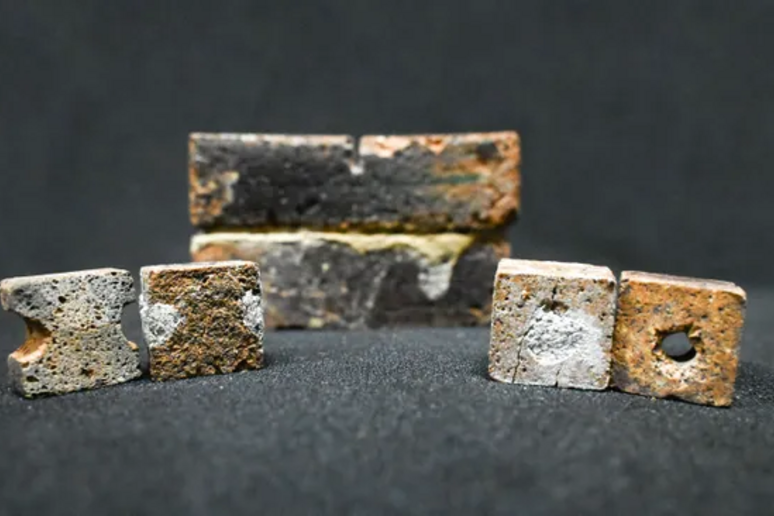 I batteri possono riparare i danni nei mattoni di polvere lunare  (fonte: Amogh Jadhav) - RIPRODUZIONE RISERVATA