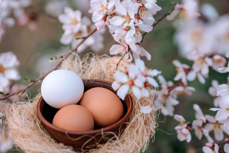 Pasqua, uova immancabili in ricette di ricorrenza e stellate - RIPRODUZIONE RISERVATA