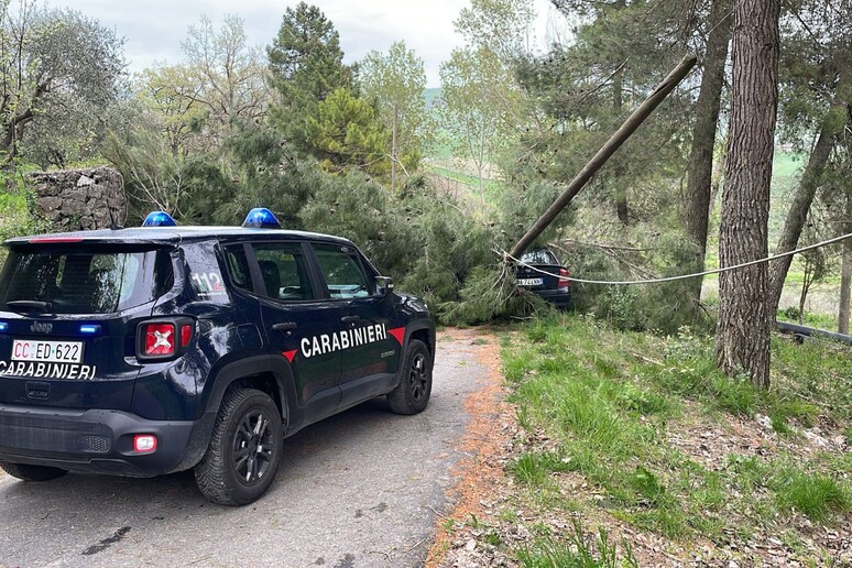 - RIPRODUZIONE RISERVATA