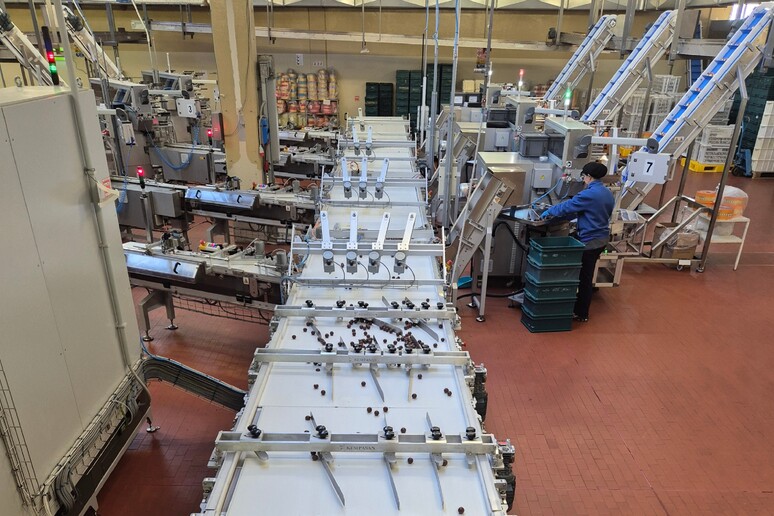 - RIPRODUZIONE RISERVATA