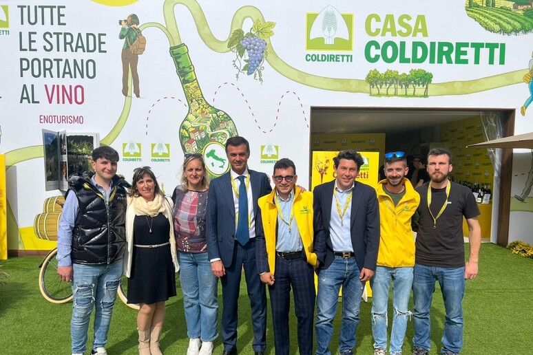 Al Vinitaly in vetrina i vini astigiani con incontri e focus - RIPRODUZIONE RISERVATA