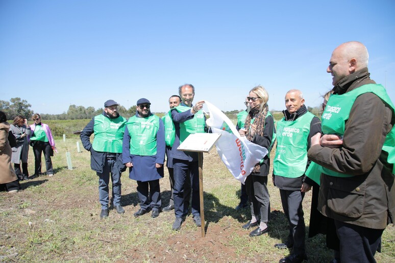 - RIPRODUZIONE RISERVATA