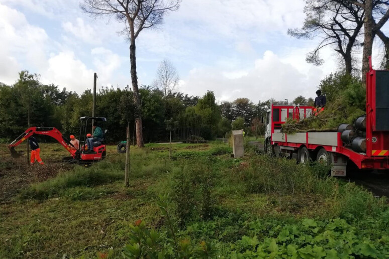 - RIPRODUZIONE RISERVATA