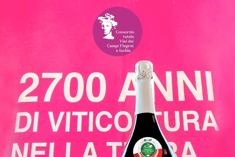 - RIPRODUZIONE RISERVATA
