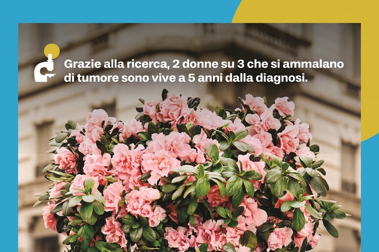 - RIPRODUZIONE RISERVATA